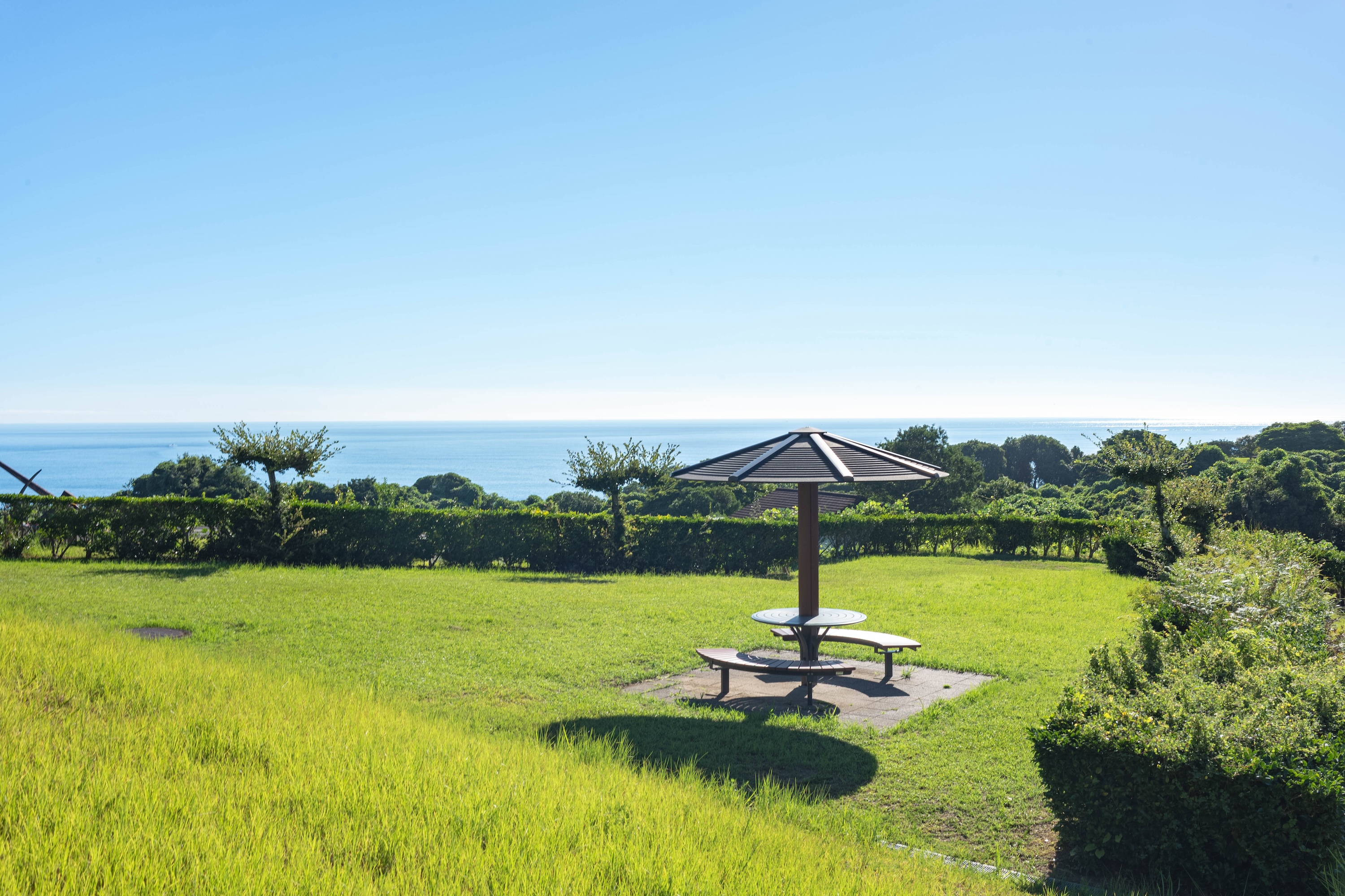 四万十わんぱく広場|太平洋を望む、遊び心あふれる公園