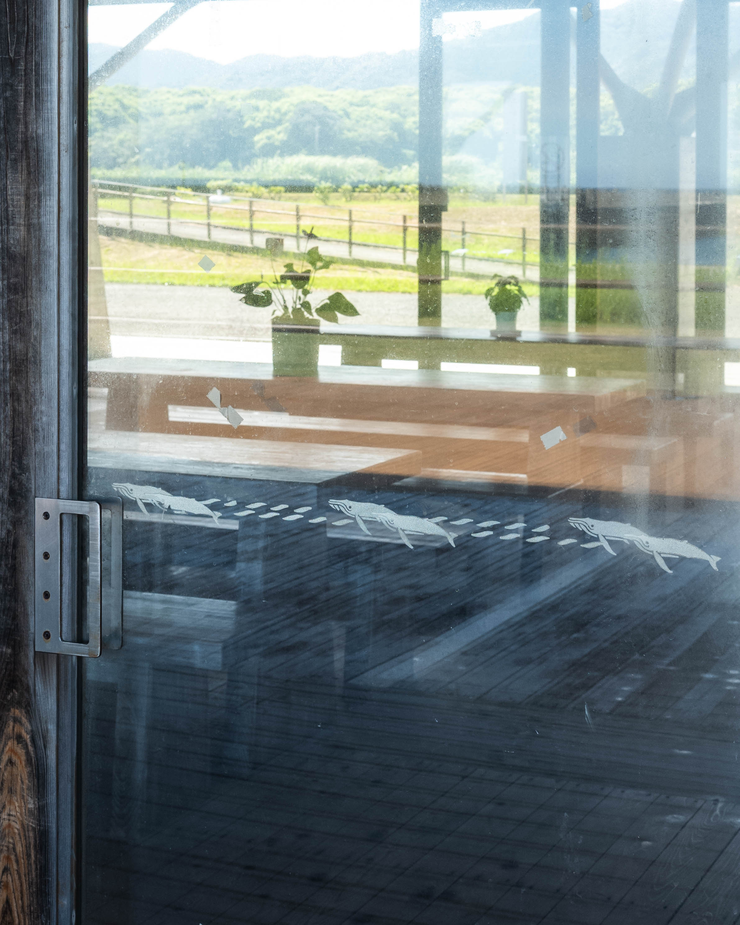 SUNLIFE COFFEE WAVES.|黒潮町入野に移転オープン!海の見える自家焙煎珈琲店