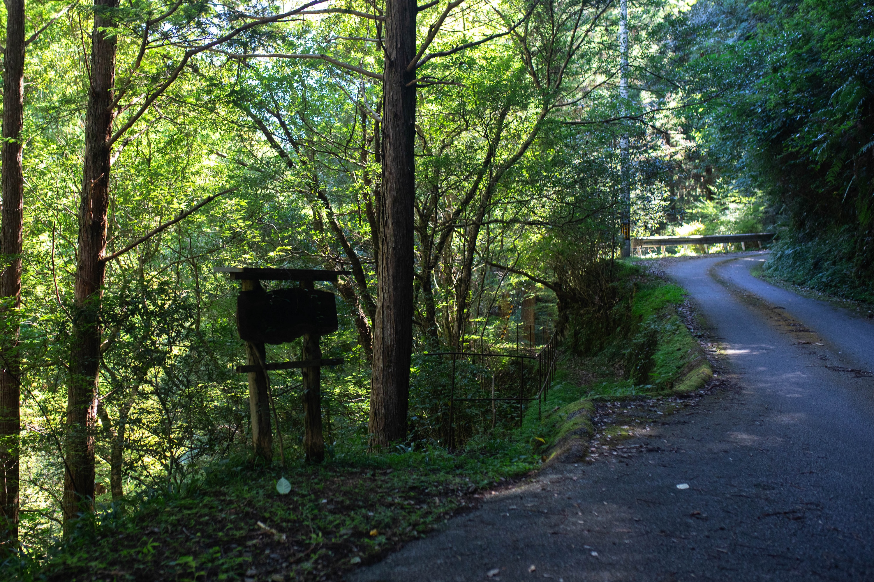 轟明神の滝｜静けさに包まれた、香美市物部町の神秘の滝