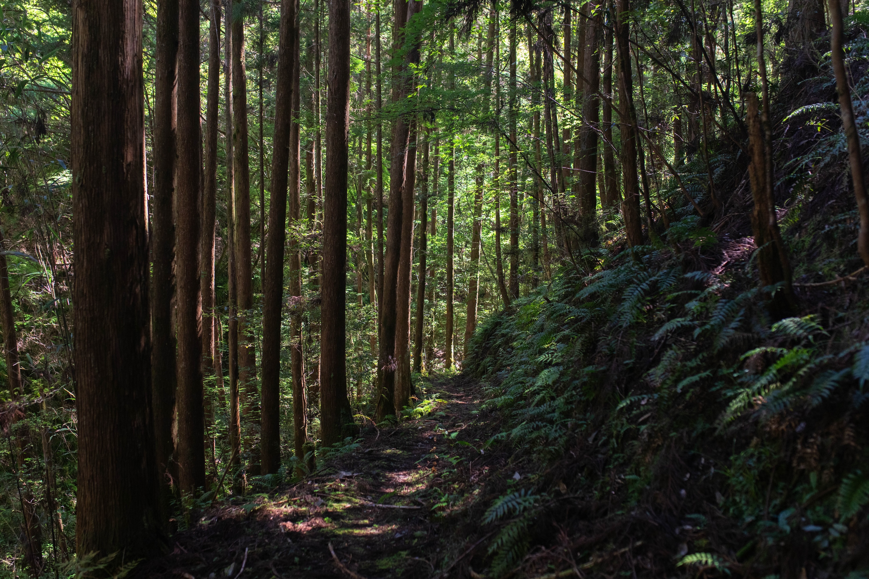 %u8F5F%u660E%u795E%u306E%u6EDD%uFF5C%u9759%u3051%u3055%u306B%u5305%u307E%u308C%u305F%u3001%u9999%u7F8E%u5E02%u7269%u90E8%u753A%u306E%u795E%u79D8%u306E%u6EDD