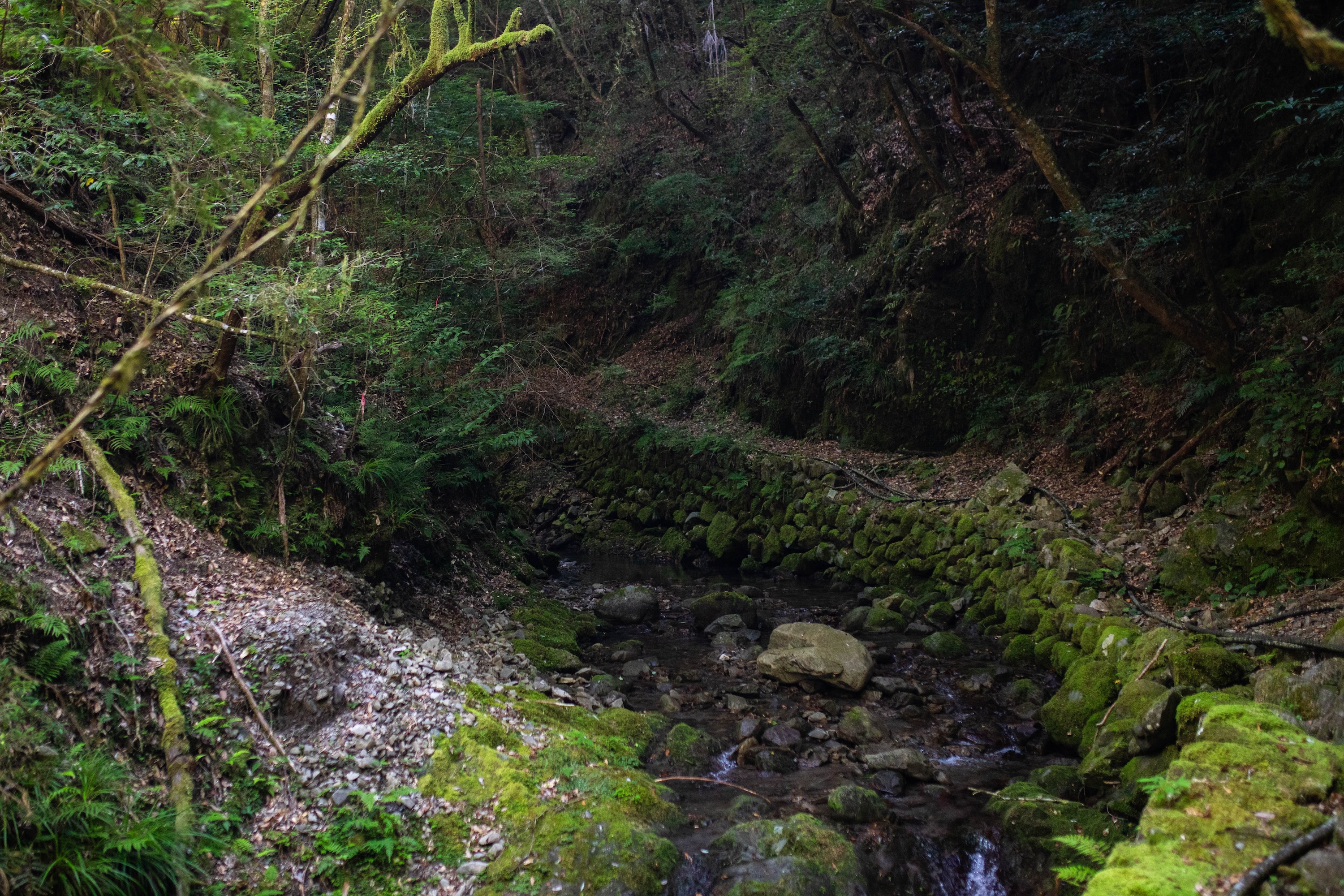 轟明神の滝｜静けさに包まれた、香美市物部町の神秘の滝