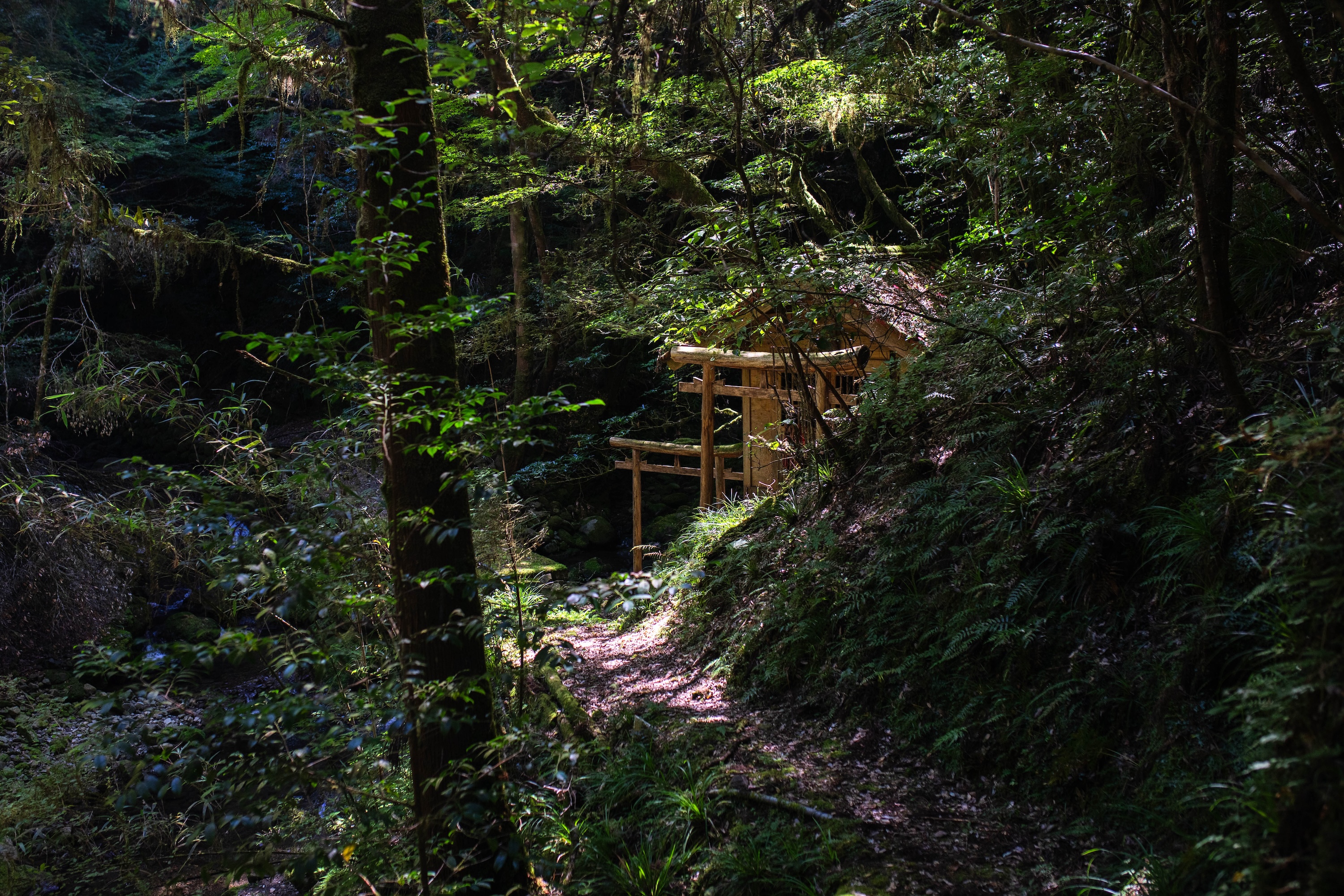 轟明神の滝｜静けさに包まれた、香美市物部町の神秘の滝