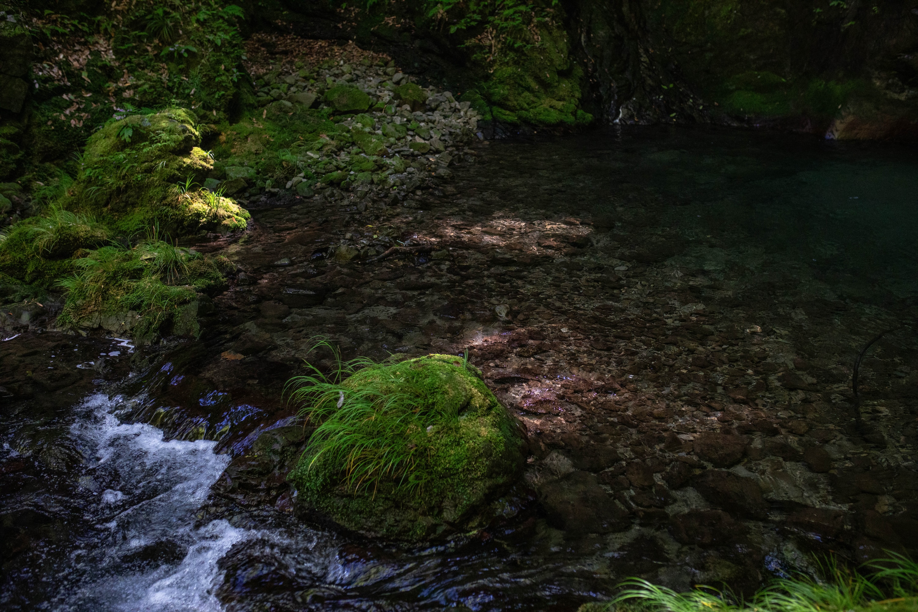 轟明神の滝｜静けさに包まれた、香美市物部町の神秘の滝