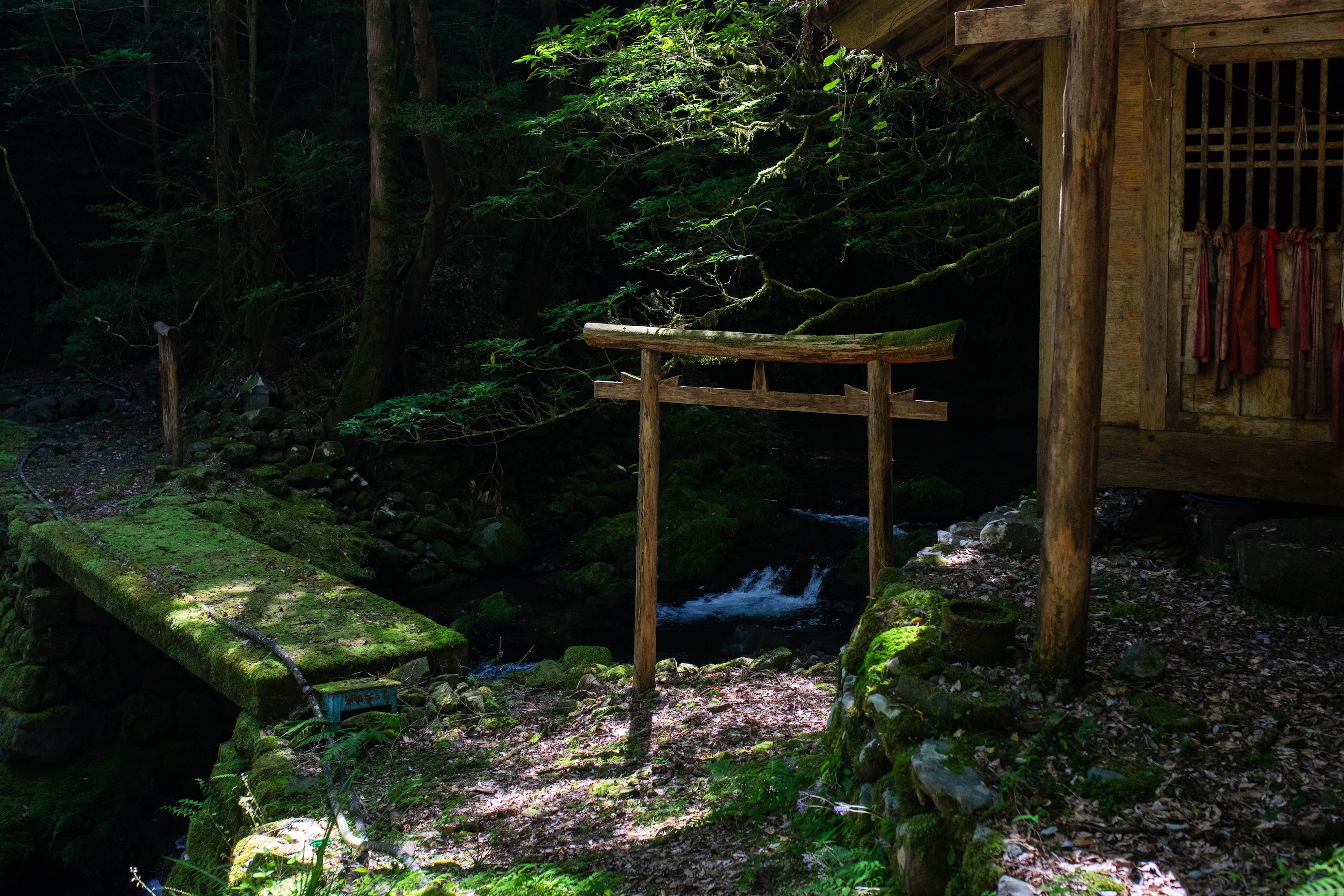 轟明神の滝｜静けさに包まれた、香美市物部町の神秘の滝