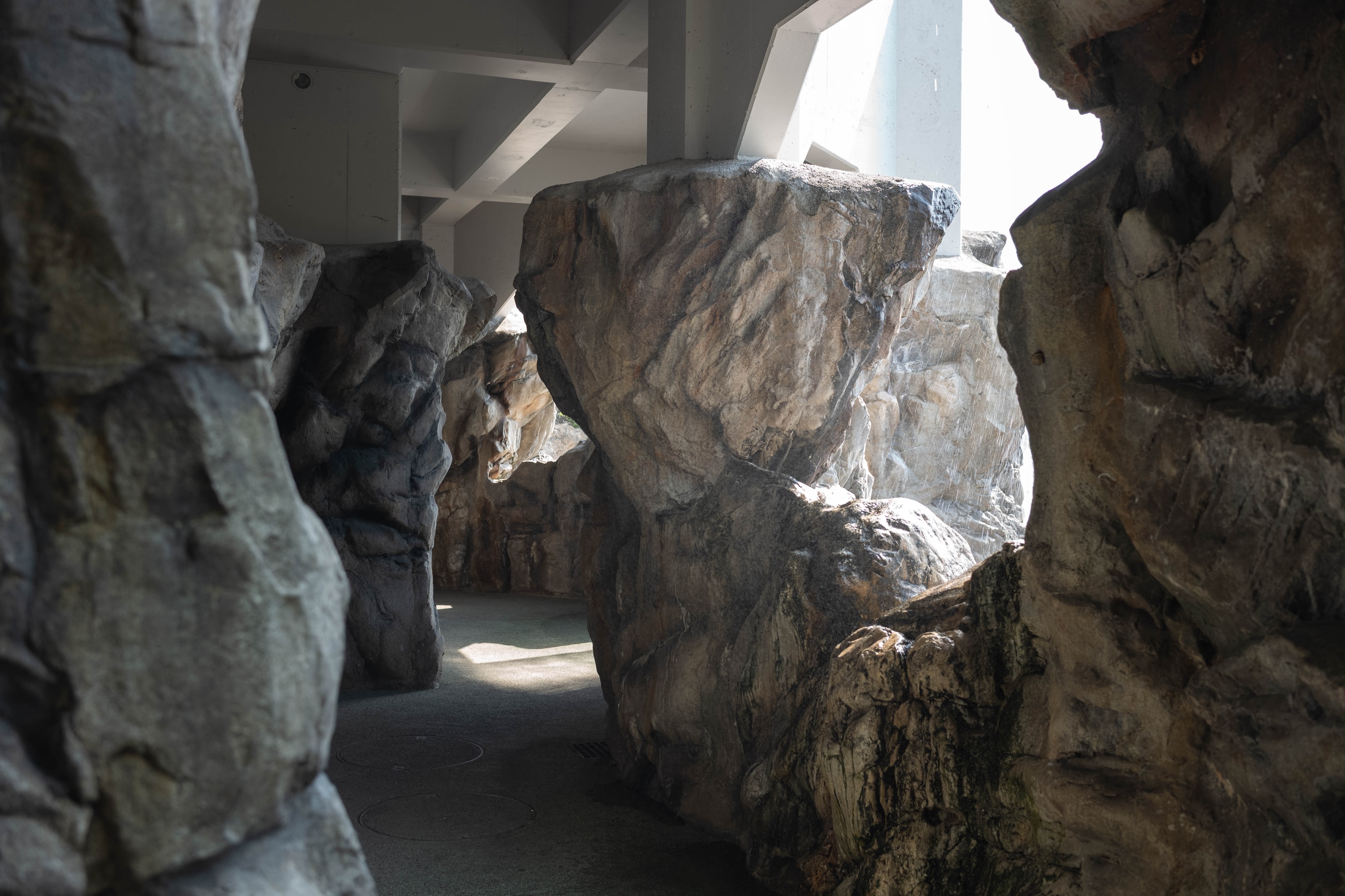 わんぱーくこうち|家族で一日楽しめる!自然と遊びがいっぱいの子連れスポット