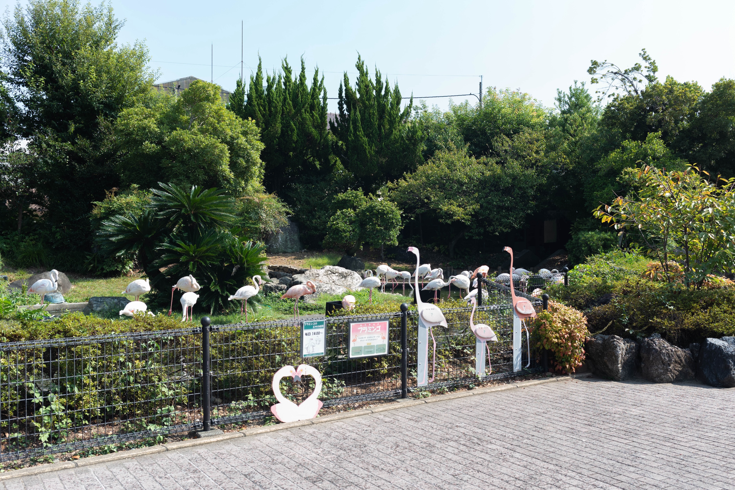 わんぱーくこうち|家族で一日楽しめる!自然と遊びがいっぱいの子連れスポット
