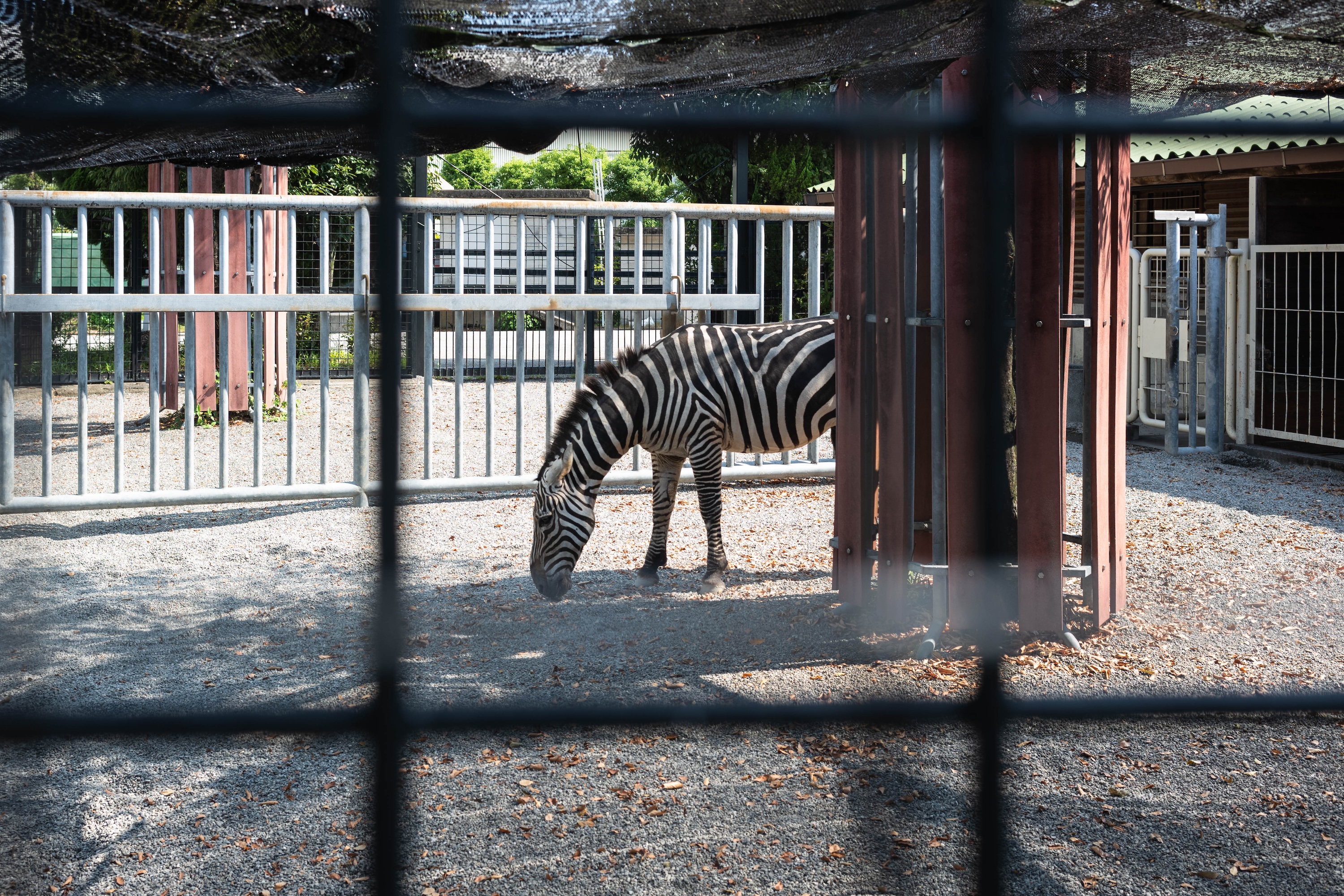 わんぱーくこうち|家族で一日楽しめる!自然と遊びがいっぱいの子連れスポット