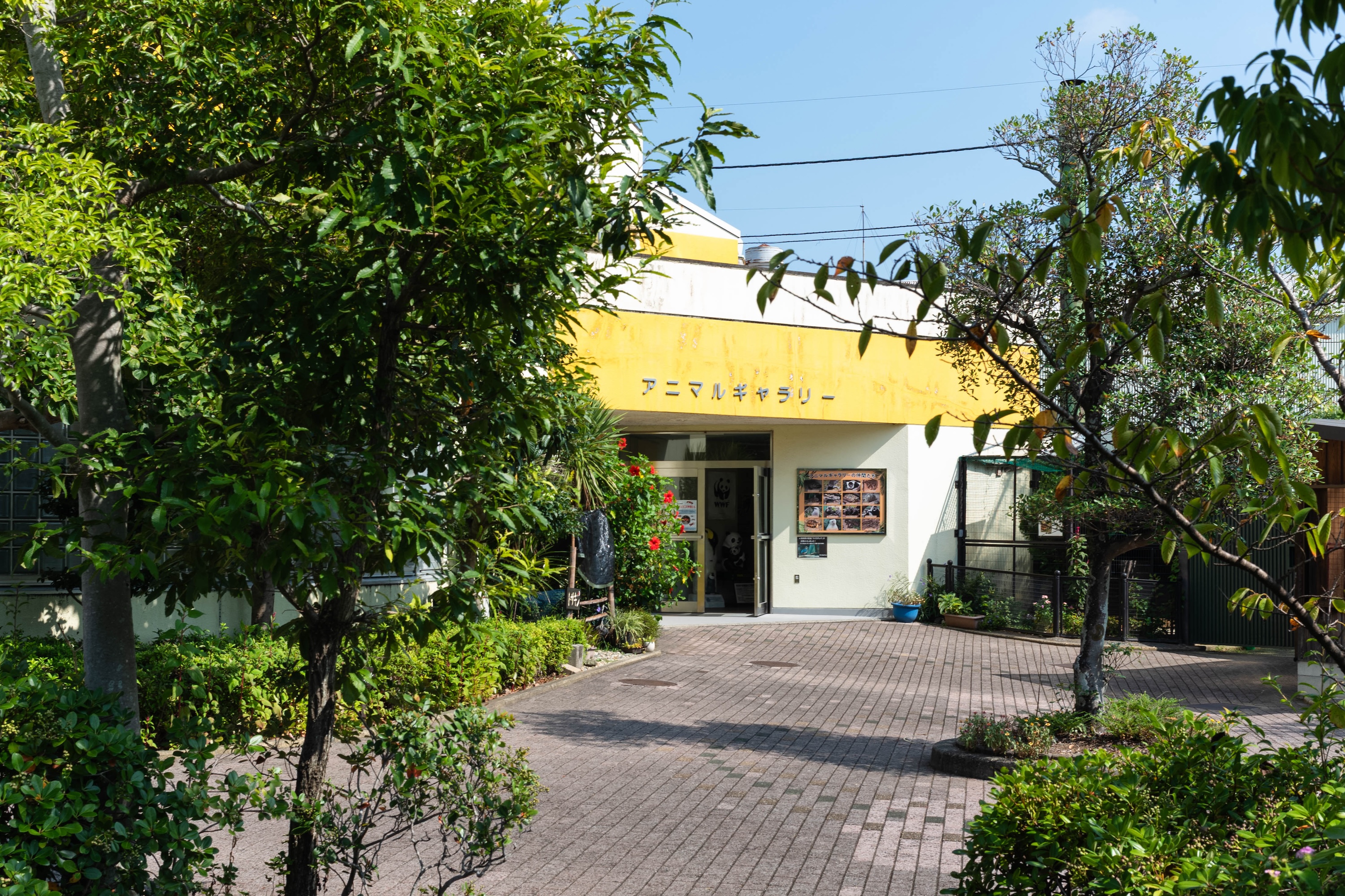 わんぱーくこうち|家族で一日楽しめる!自然と遊びがいっぱいの子連れスポット