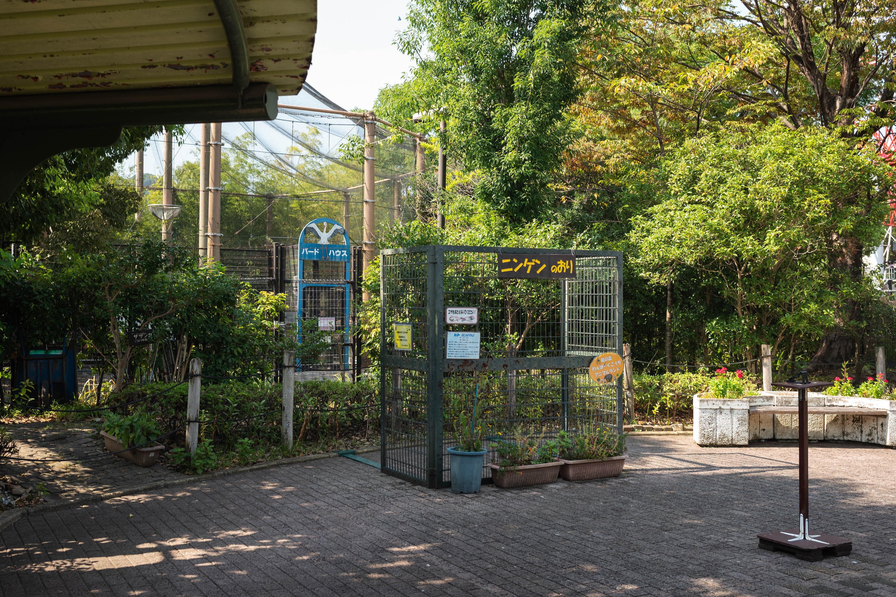 わんぱーくこうち|家族で一日楽しめる!自然と遊びがいっぱいの子連れスポット