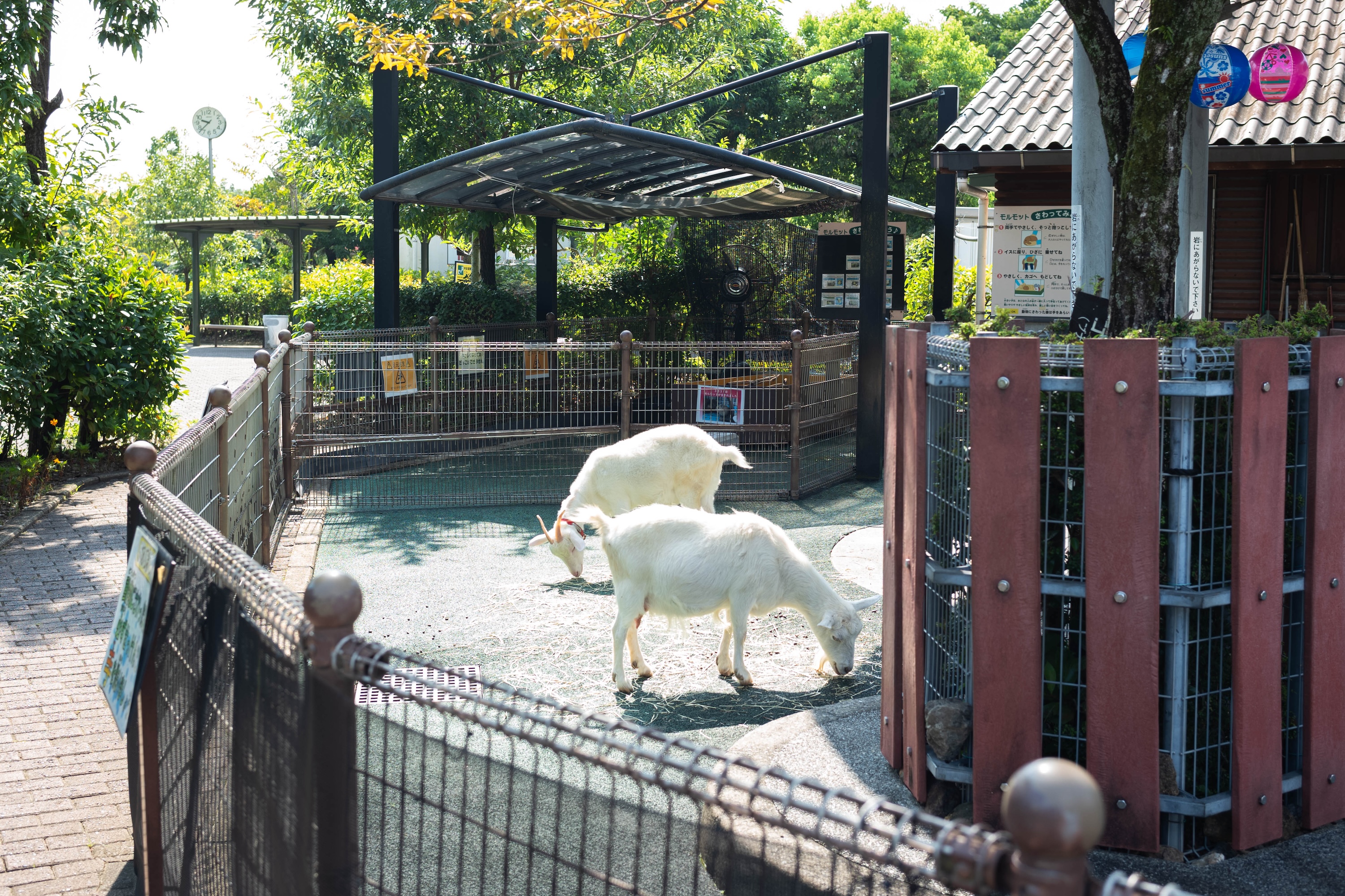 わんぱーくこうち|家族で一日楽しめる!自然と遊びがいっぱいの子連れスポット