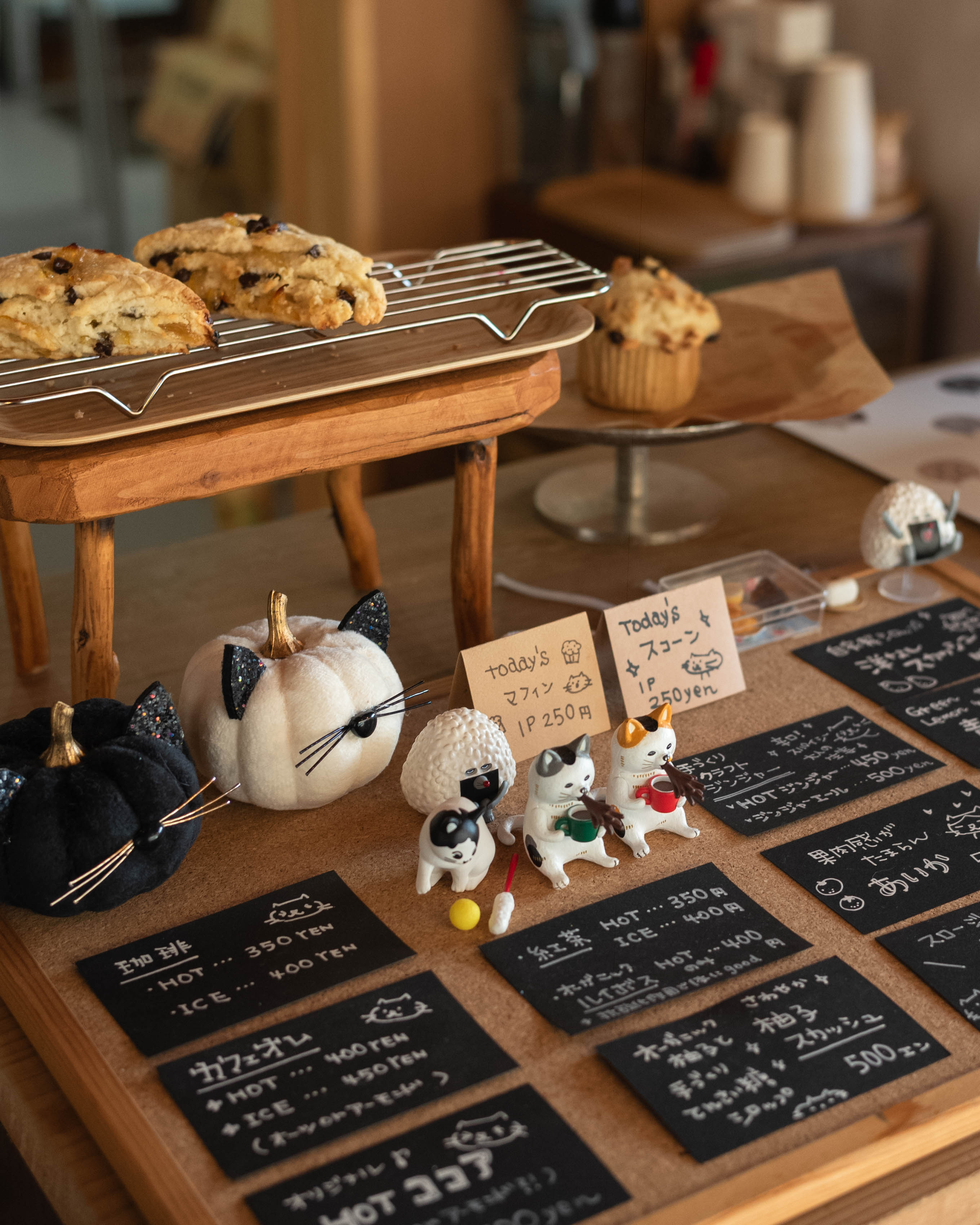 ひがな猫 / プチプチネコネコ|香美市の猫カフェ!保護猫とやさしく出会える場所