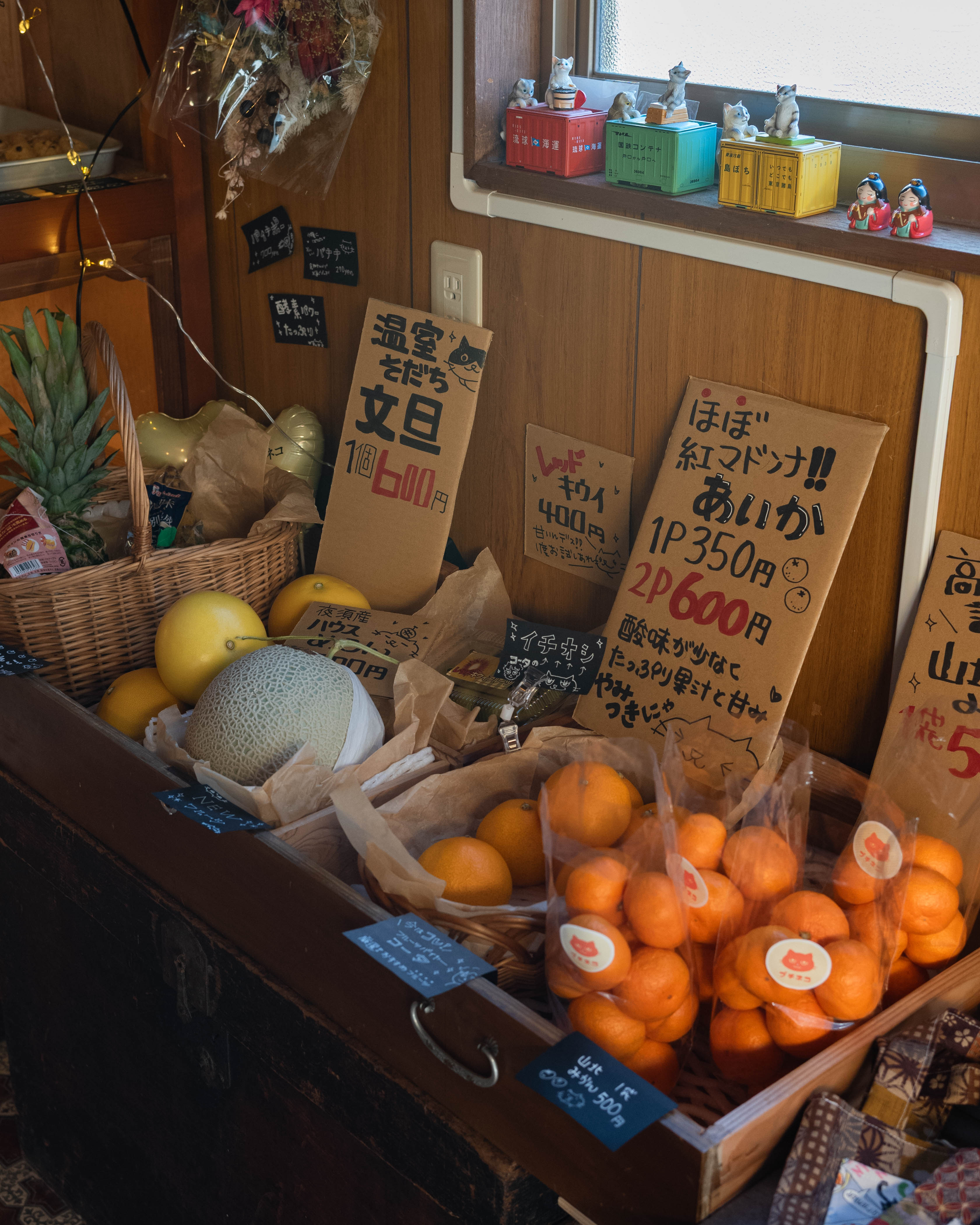 ひがな猫 / プチプチネコネコ|香美市の猫カフェ!保護猫とやさしく出会える場所