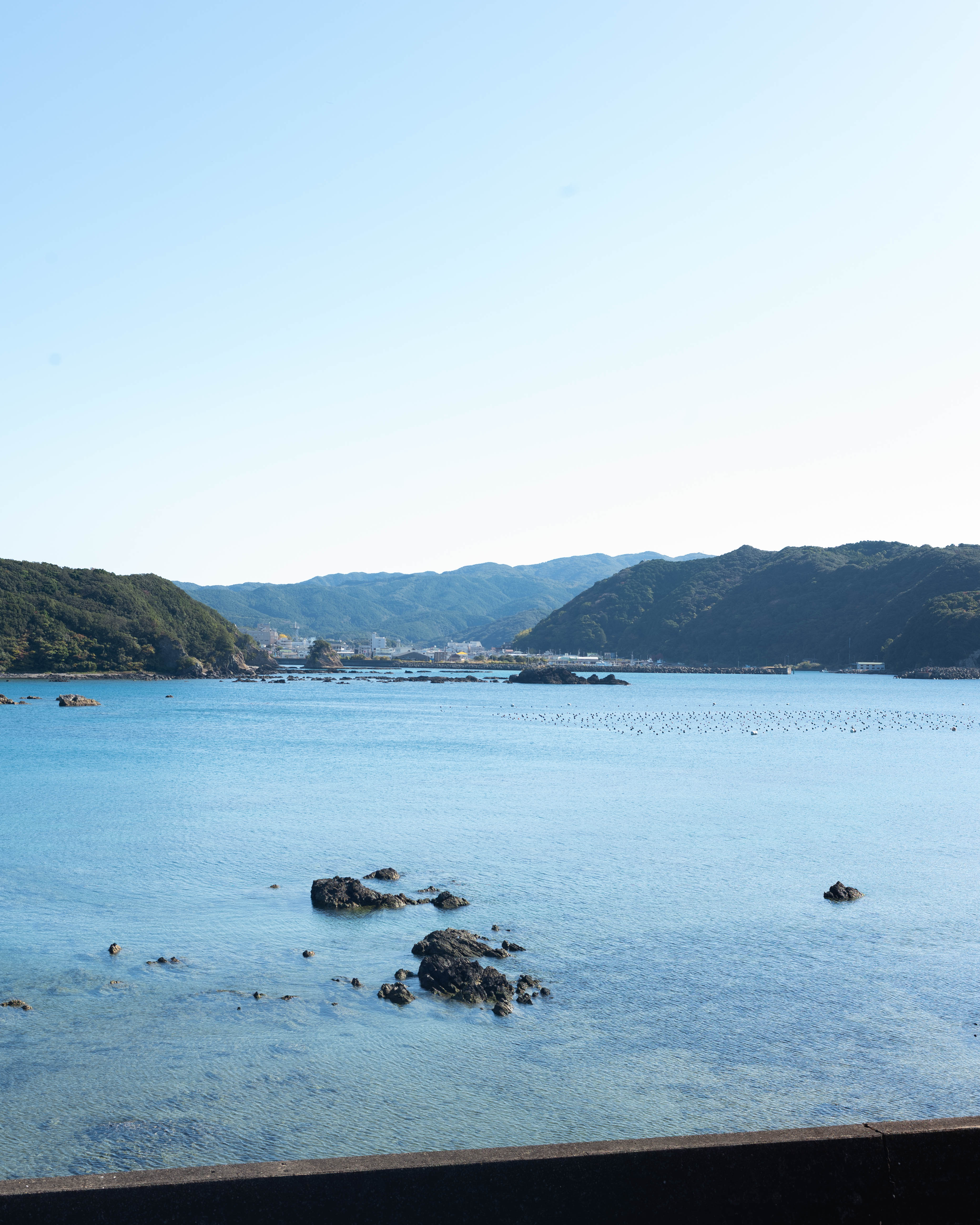 鮮魚一八｜鰹を知り尽くした職人が届ける、土佐清水の一皿