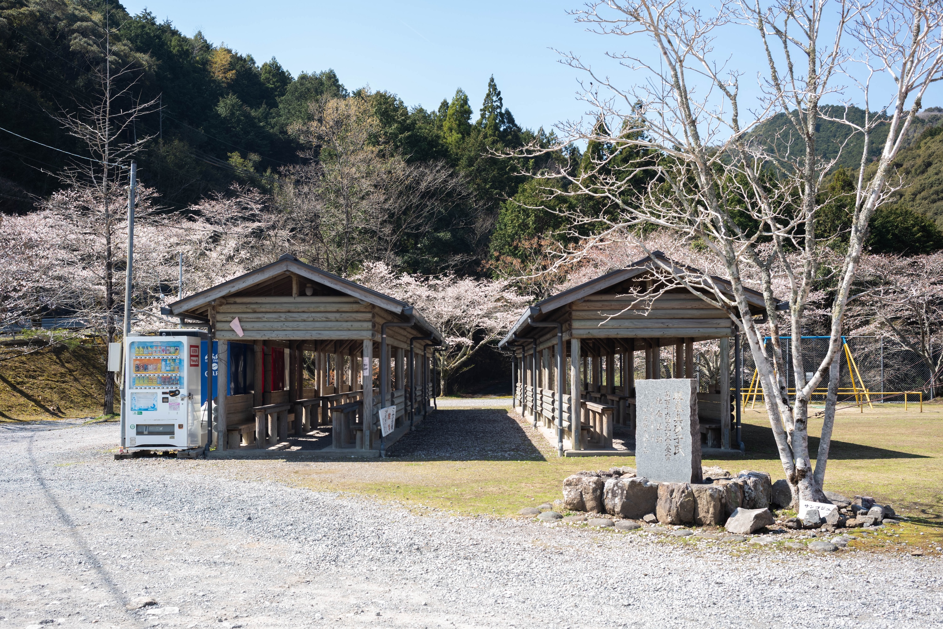 龍王公園｜春は桜が彩る、タコの滑り台が主役の公園