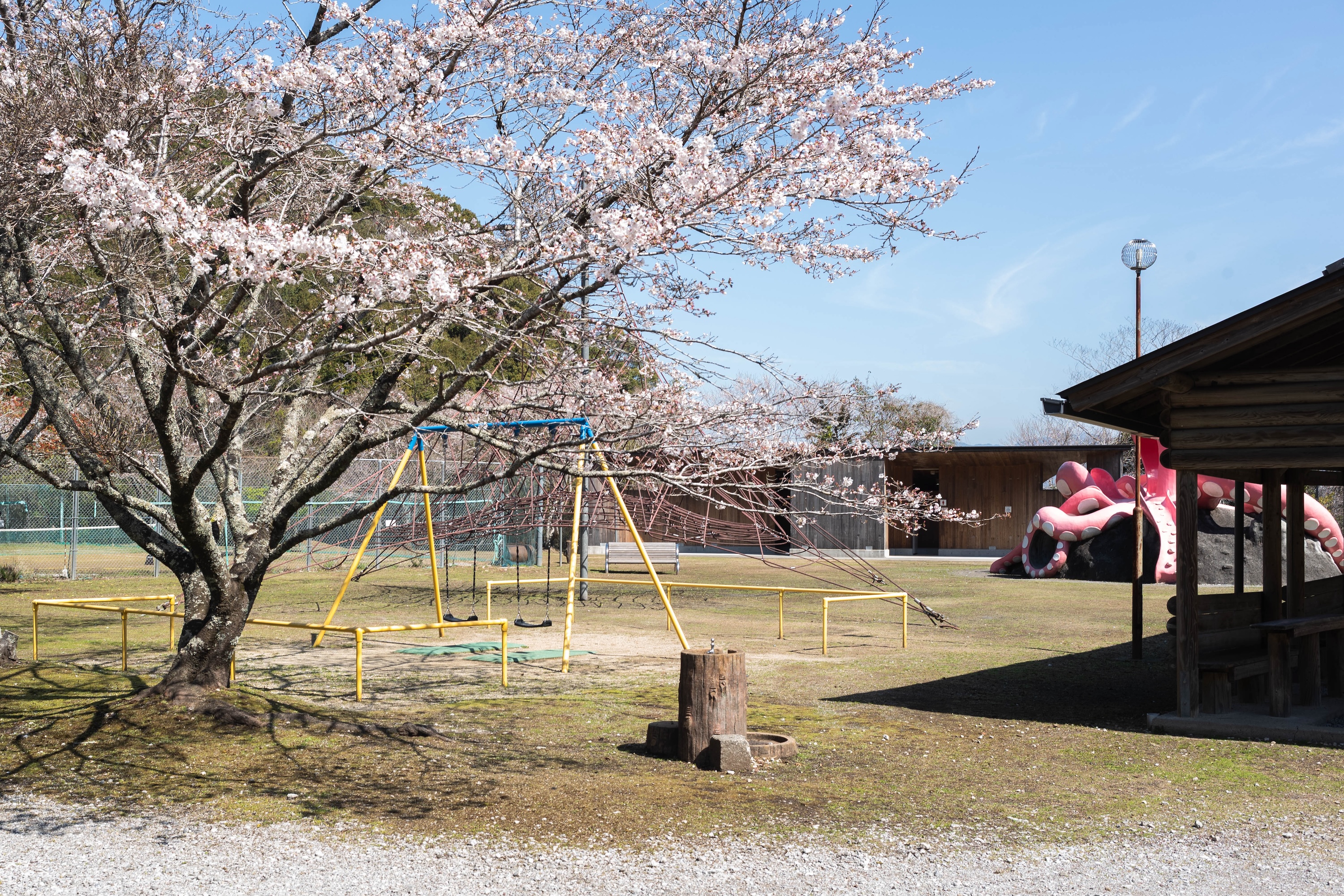 龍王公園｜春は桜が彩る、タコの滑り台が主役の公園