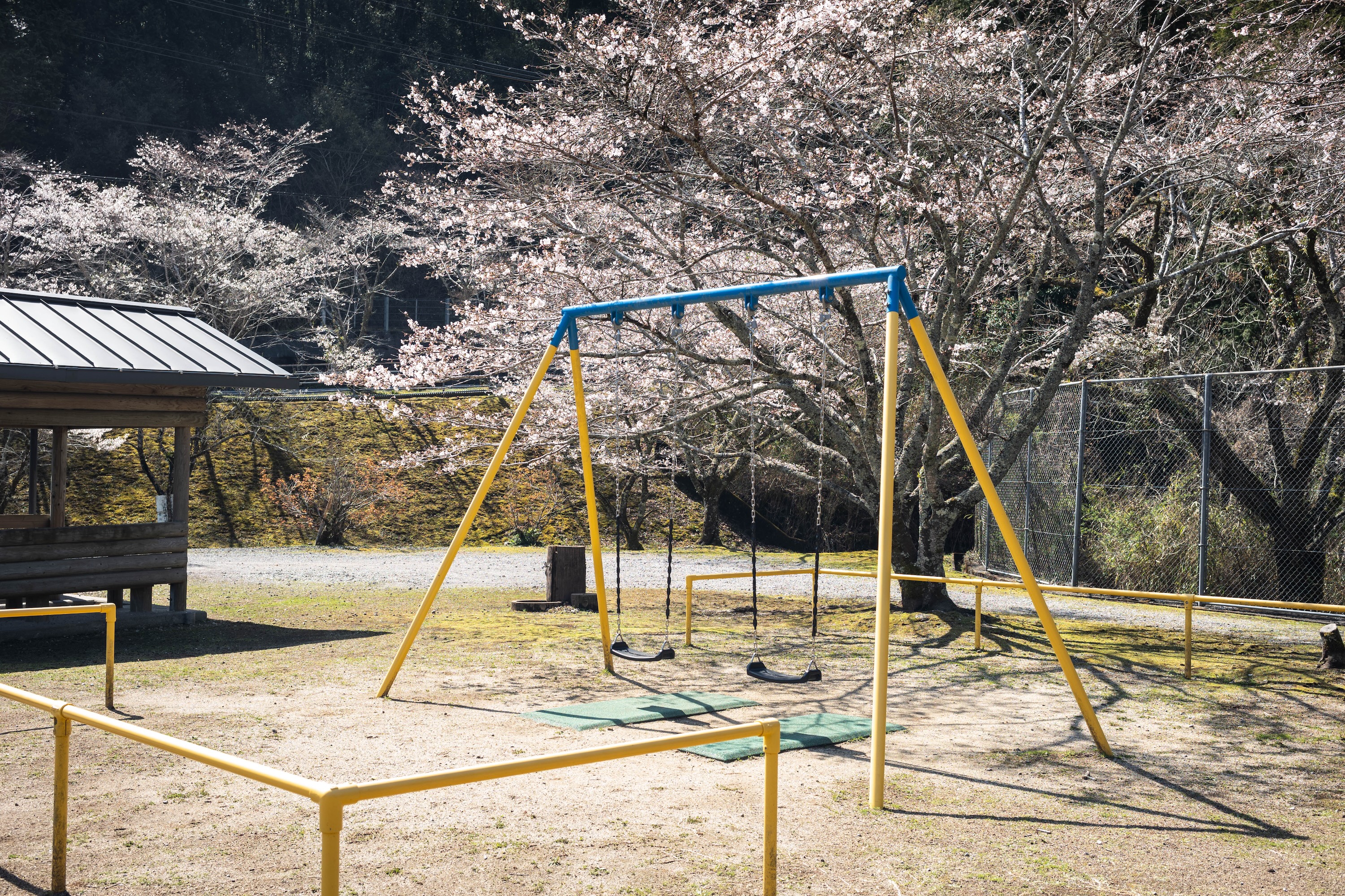 龍王公園｜春は桜が彩る、タコの滑り台が主役の公園