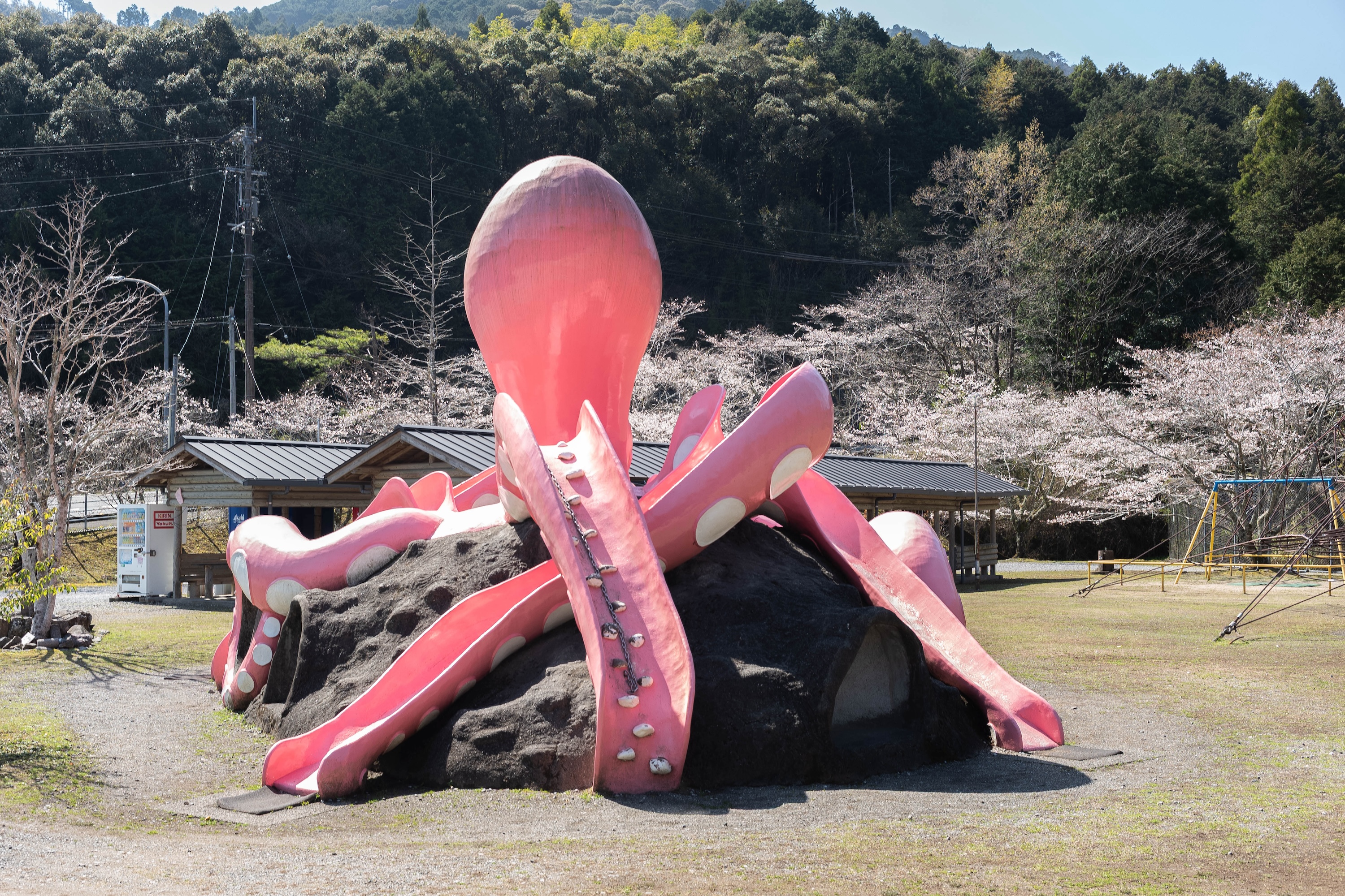 龍王公園｜春は桜が彩る、タコの滑り台が主役の公園