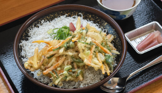 高知の人気ご当地グルメ5選｜行列必至のおすすめ店を紹介