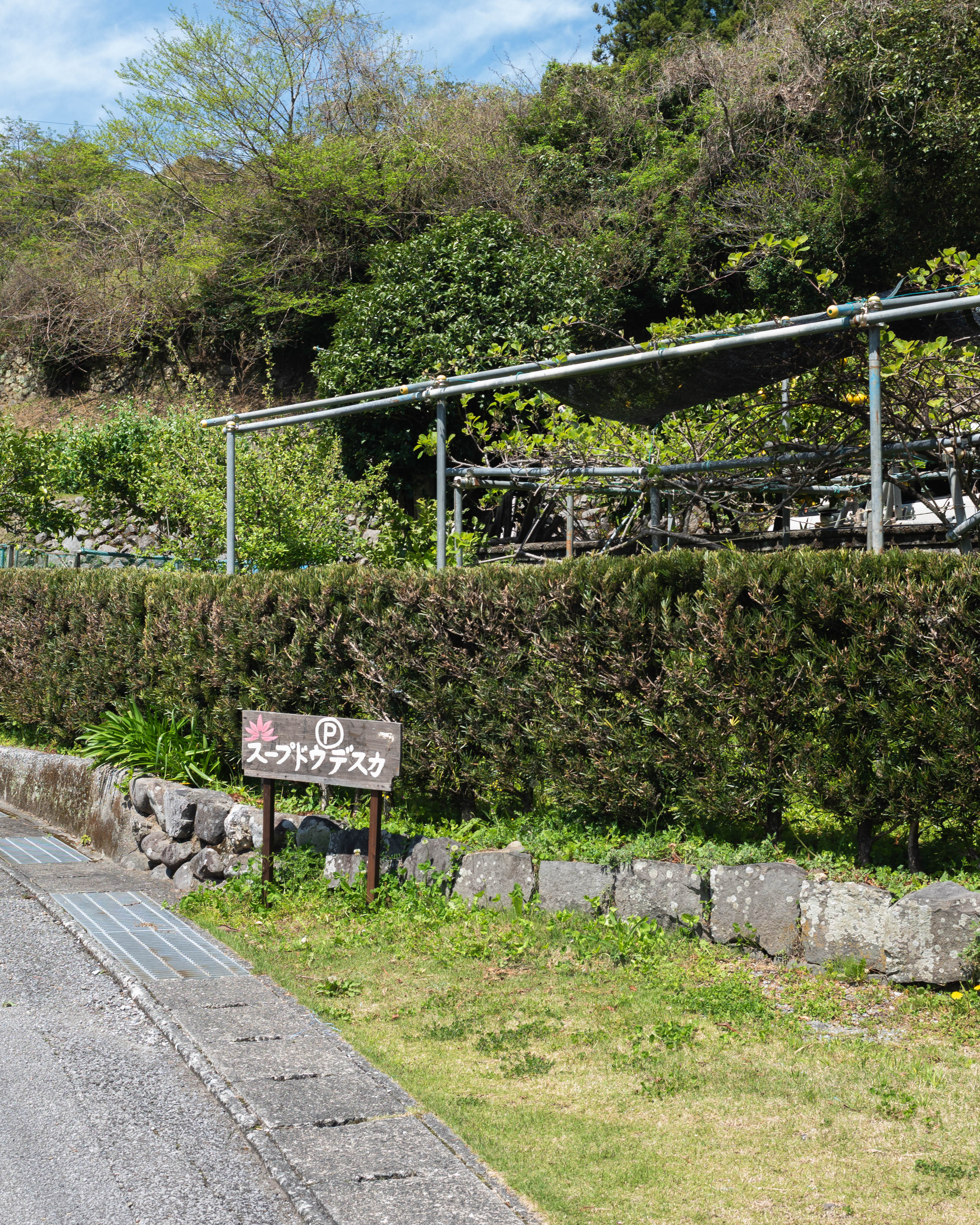 スープドウデスカ｜香美市の里山にひっそり佇む、アジアンカフェ